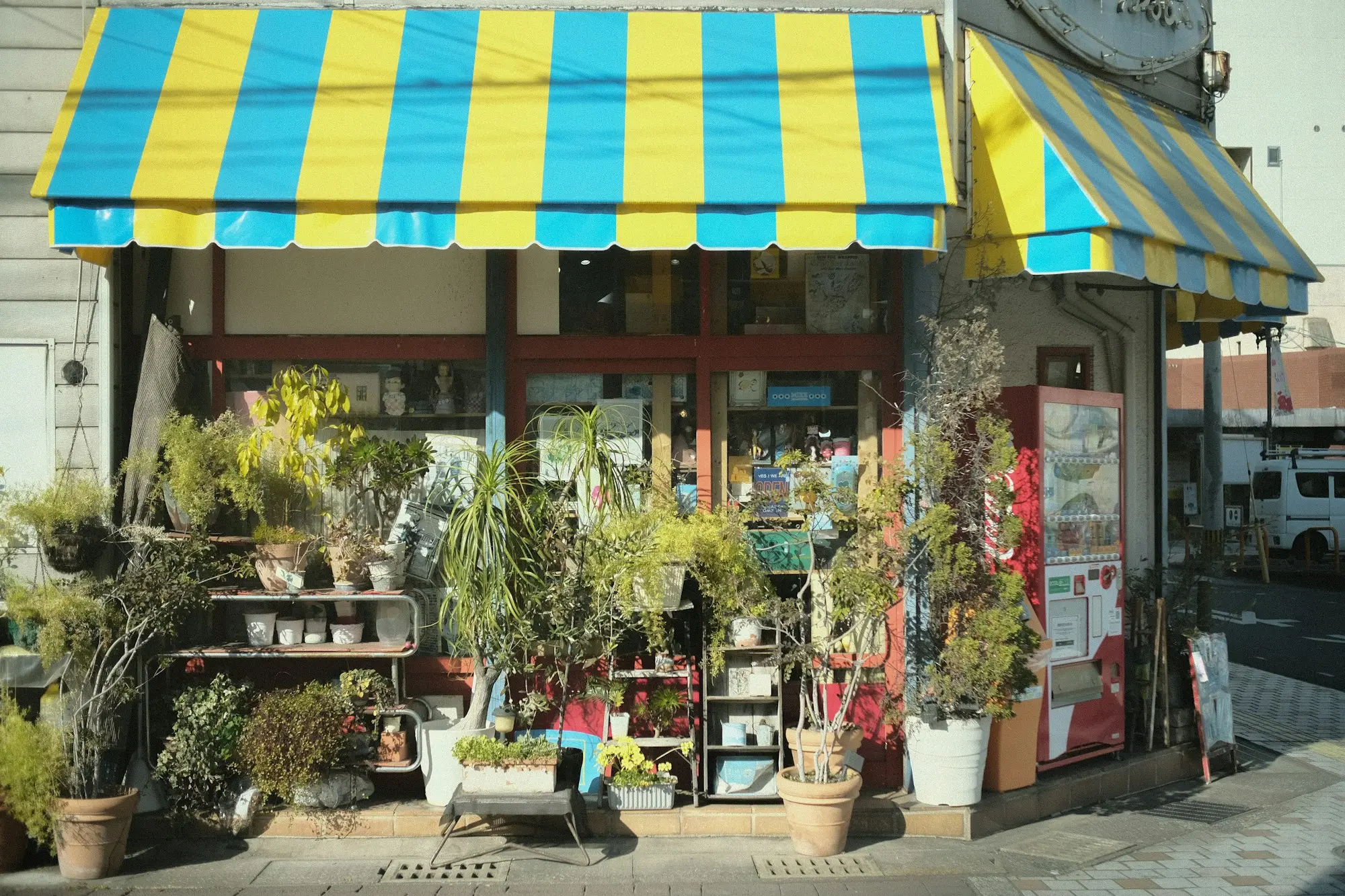 Small shop with potted plants lined up outside the door